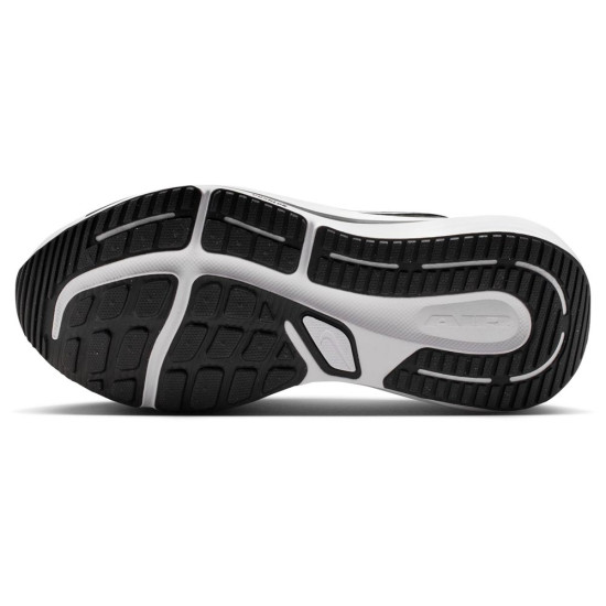 Nike Winflo 12